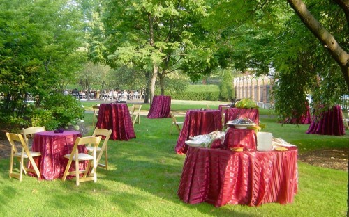 Cocktails and hors d'oeuvre tables on the lawn Curci-Kramer Wedding (1)   